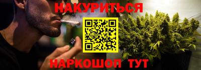 сатива Кинель