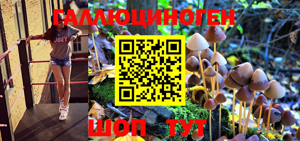 Корсаков  Галлюциногенные грибы MAGIC MUSHROOMS  Вход с VPN 
